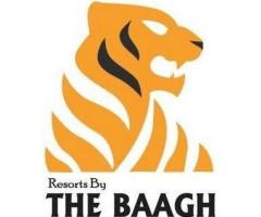 Best Resorts in Jim Corbett – Which Luxury & Budget Stay Is Perfect for You?