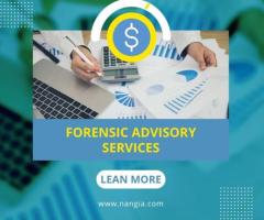 Trusted Forensic Advisory Services for Risk & Fraud Management