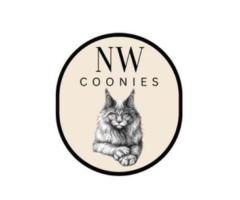NW Coonies