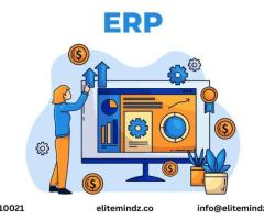 Software Development Company in Delhi – ZYNO by Elite Mindz