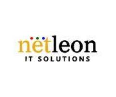 Netleon IT Solutions