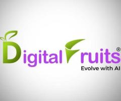 Digital Fruits - SEO, Hyperlocal SEO Service, Digital Marketing in Noida