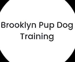 Brooklyn Pup Dog Training