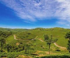 Kerala & South India Tour Packages