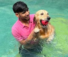 Dog Pool Near Me – Pet Me Maa - 2