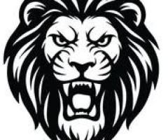 Buy Ace Mens Shoes Online USA Trendy and Comfortable Footwear