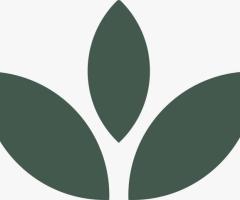 Luxe Spa and Wellness Center | Body Massage Parlour in Raipur