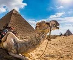 Egypt eVisa for Bolivia Citizens – Visa Requirements & Fees