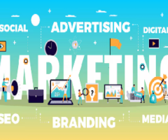 Result-Driven Digital Marketing Services Delhi NCR for Business Growth