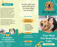 Dog Swimming Pool Near Me — Safe Water Play & Heat Relief for Dogs