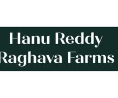 Wedding Lawns in Chennai