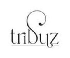 Tribuz Interiors – Best Interior Designer in Gurgaon & Delhi NCR