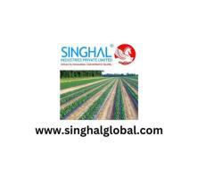 Superior Mulch Film Layer For Enhanced Farming Productivity