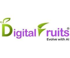 Digital Marketing Company in Noida
