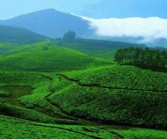 Book South India Tour with Kerala Backwaters, Karnataka, and Tamil Nadu