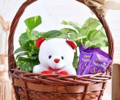 Flower Bouquet Delivery in Coimbatore with Fresh Flowers and Fast Service