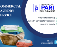 Pari Drycleaners