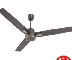 Havells Epic RR BLDC Ceiling Fan 1200mm | Energy Saver