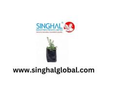 Ideal Growing Support for Young Plants