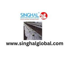 Mulch Film Supporting Healthier Harvests