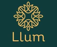 Best Car Air Freshener | Llum