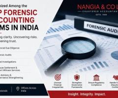 Top Forensic Accounting Firms in India