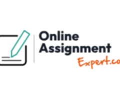 Online Assignment Expert
