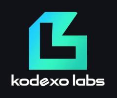 Kodexo Labs Chicago, IL | AI, Custom Software & Mobile App Development Company Chicago, IL