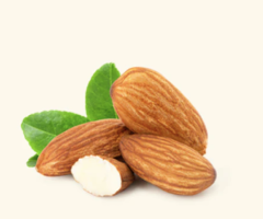 Buy Sweet almond oil online with Heavy Discount - 2
