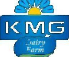KMG Dairy Farm