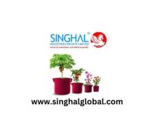 Reliable Growing Solutions for Healthy Seedlings