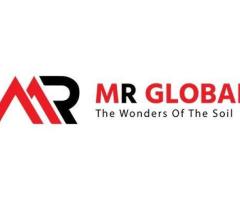 MR Global
