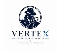 Private Detective Agency in Delhi
