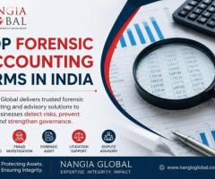 Top Forensic Accounting Firms in India | Nangia Global