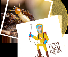Sorna Valli Pest Control