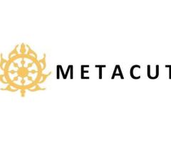 The Metacut Inc