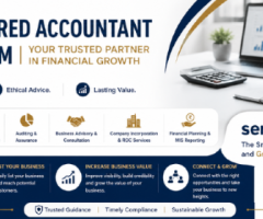 Top Chartered Accountant in Jaipur - Service Bazzar