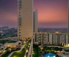 Ready To Move in Flats in Gurgaon  | Experion  Developer