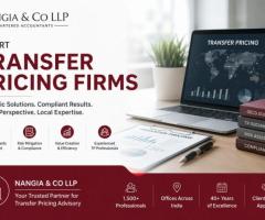 Transfer Pricing Firms | Nangia & Co LLP