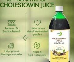 Cholestowin Juice Cholesterol, Triglycerides | Heart Health - 2