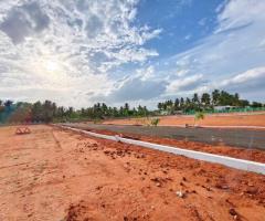 Thulir Nagar Property - Kittampalayam - 2