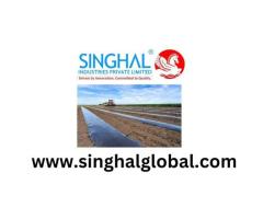Mulch Film Encourages Cleaner Cultivation And Improved Plant Performance