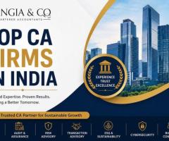 Top CA Firms in India – Nangia & Co LLP