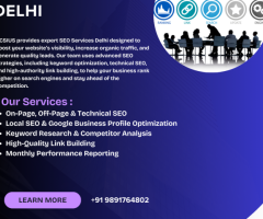 Delhi's Best SEO Company for Higher Rankings