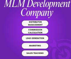 Scalable Direct Selling Solutions with Solutions1313