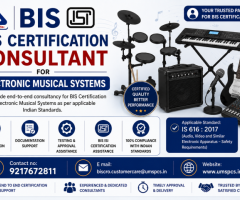 BIS Certification Consultant for Electronic Musical Systems