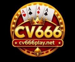 cv666play net