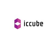 icCube