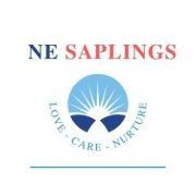 Ne Saplings