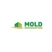 Mold Remediation Indy